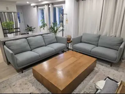 Structube Aaron Collection 3 Seater and Loveseat, View more