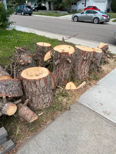Firewood for free, View more