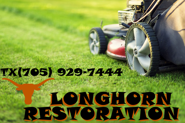 MOVE--OUT CLEANING552489602756782083