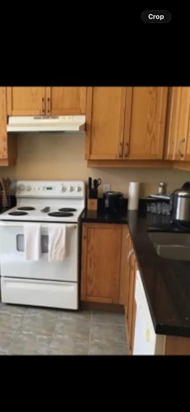 Room for Rent in Room Rentals & Roommates in City of Toronto - Image 9