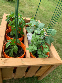 Planter Stand for Bucket Gardening