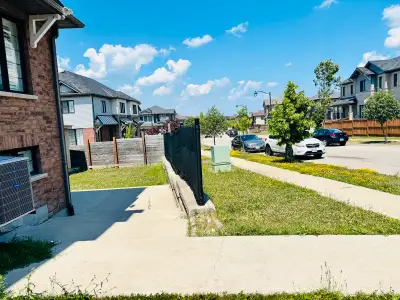 A Walkout 2 Bedrooms Basement available for Rent