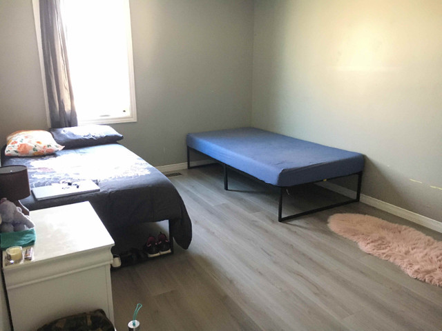 Shared Room For Sublet Guelph in Room Rentals & Roommates in Guelph