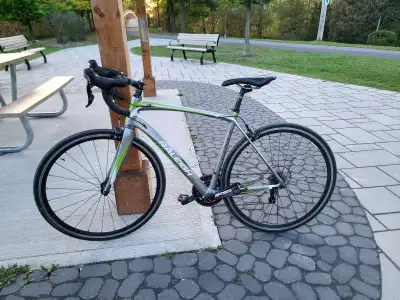 Raleigh Capri Road Bike Full Carbon, View more