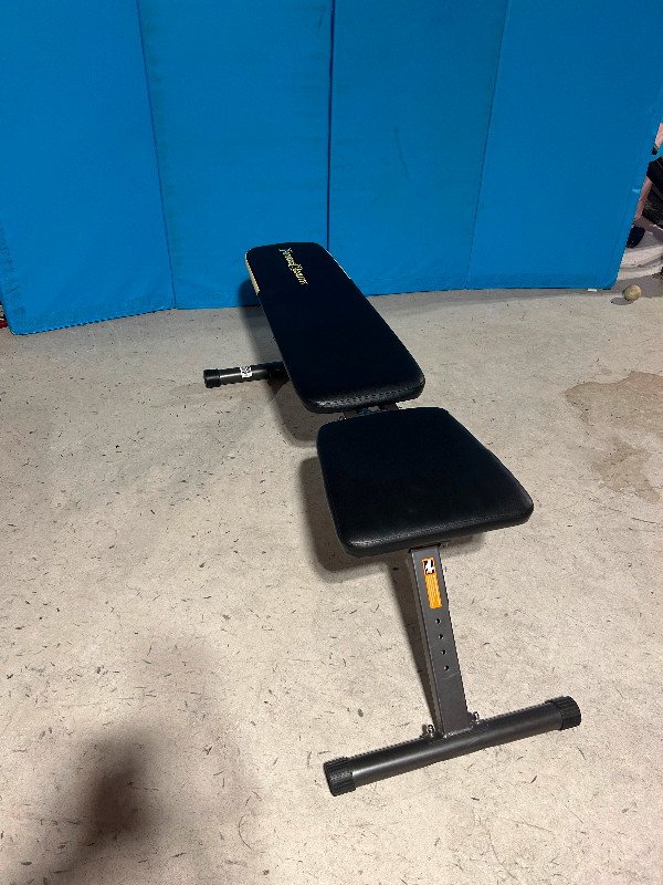 Workout Bench in Exercise Equipment in Ottawa - Image 4