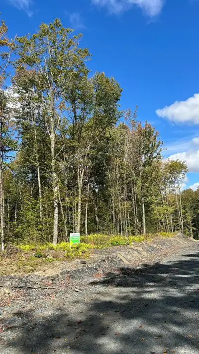 Découvrez ce magnifique terrain à vendre, idéalement situé via un accès privé entre le 26 et le 36 J...