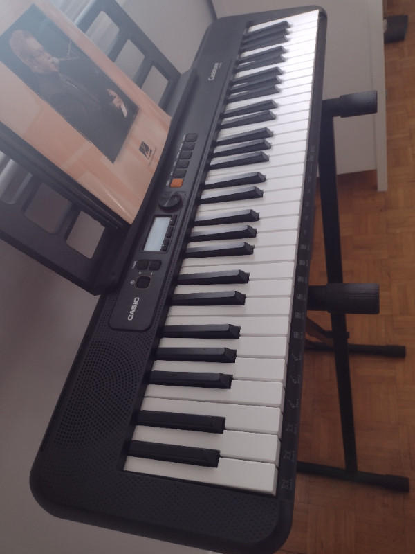 Keyboard Casiotone CTS200, with Rockjam Xfinity stand Pianos