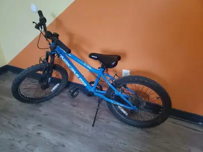 Kids Nakamura Bicycle 20in, View more