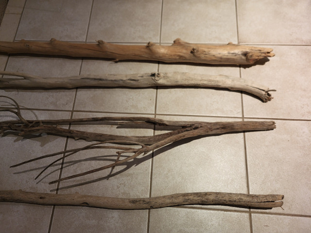 Driftwood, White birch, decorative wood pieces- macrame pieces in Arts & Collectibles in City of Toronto - Image 2