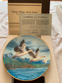 Plate#2  "Winter Wings: Snow Geese" in Birds of the North