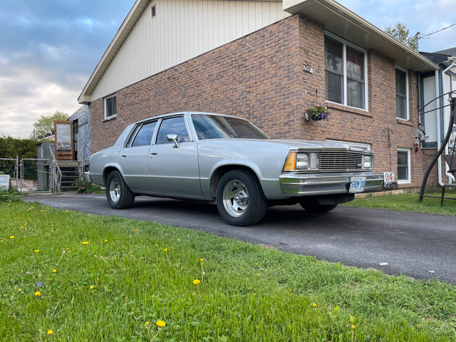 1981 chevy malibu  in Classic Cars in Ottawa