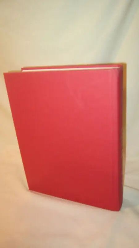 The Secret Language of Birthdays ~ Large Hardcover Book62854394196610124