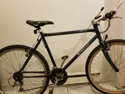 Minelli Echo: 26x2.10po, 21v, cadre 21po,bon état,seulement 190$, View more