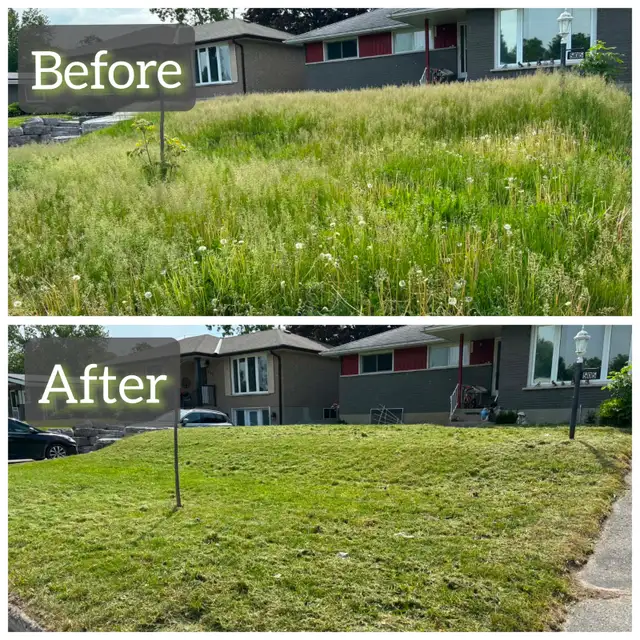 Grass cutting475476259222343684