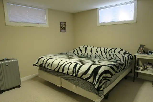 Lower level suite for rent