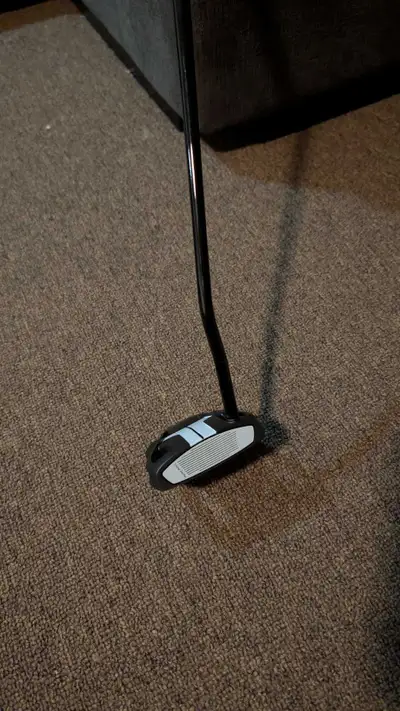 TaylorMade Spider Tour X Putter, View more
