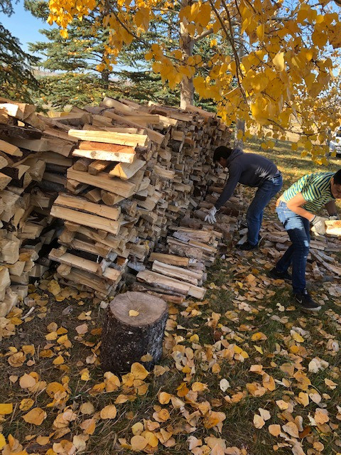 FIREWOOD BY TWO BROTHERS in Other in Calgary - Image 3