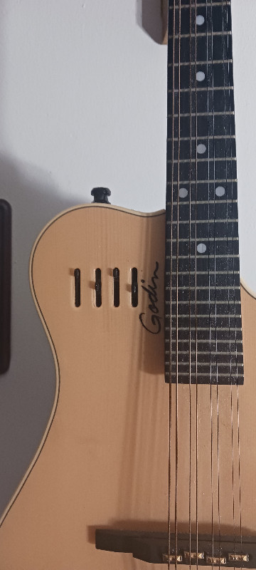 Godin A8 Electric Acoustic Mandolin in Guitars in Belleville - Image 2