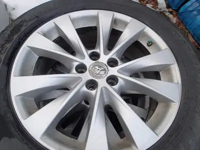 The beautiful rims are in good condition. Will fit a Venza, Sienna, Rav4, 4Runner, and many more. Ti...
