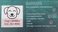 Dog grooming in Scarborough