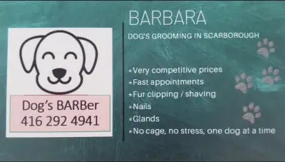 All your dogs needs. Homebased groomer located at Markham and Sheppard . Prices starting at $75, dep...