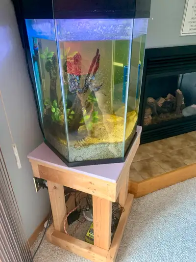 29 Gallons Aquarium  Complete Set, View more