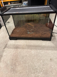 Month old terrarium with 2 zoo med heat pads