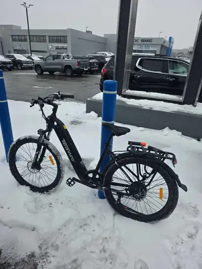 Tesway Ebike, View more