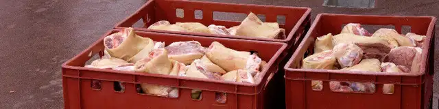 FOOD GRADE CONTAINERS. FOOD MANUFACTURING BINS, INGREDIENT BINS. in Other in Kitchener / Waterloo - Image 8