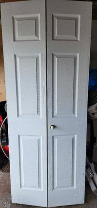 Closet door (32"x79")