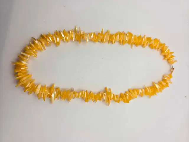 Shell Necklace63008305989123123
