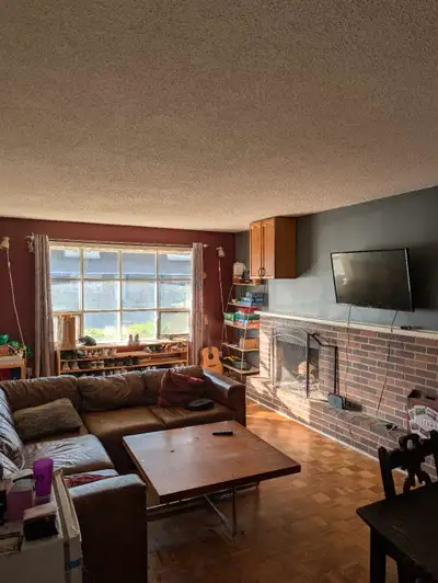 Roommate wanted!