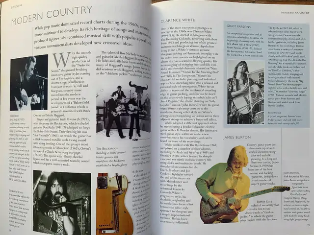 Guitar - Music, History, Players in Guitars in City of Montréal - Image 5