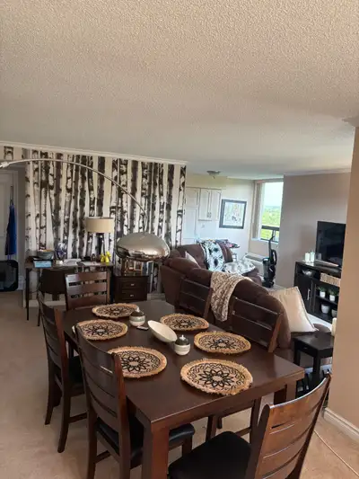 frosted Room 4 rent in a condo with parking internet and tv laundry in suite and dishwasher view of...