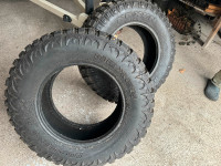 Nexen Rodian MTX LT275/70R18 tires