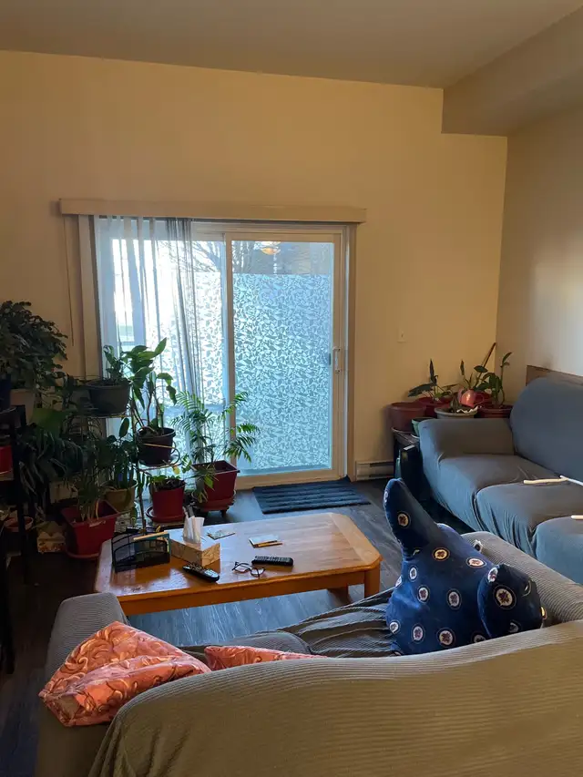 couple looking for female room mate