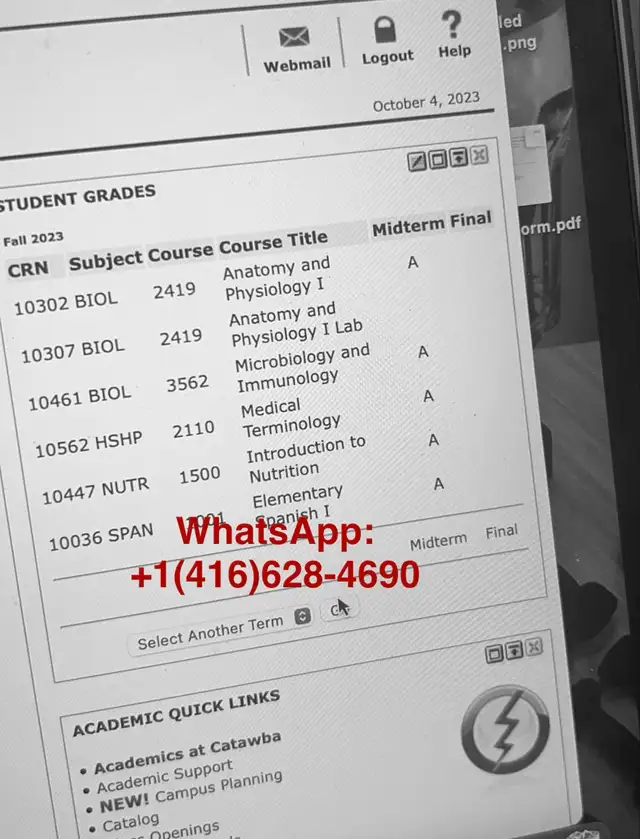 Essay Writing Services Canada | Homework Helper & Java Coding65419384539779122