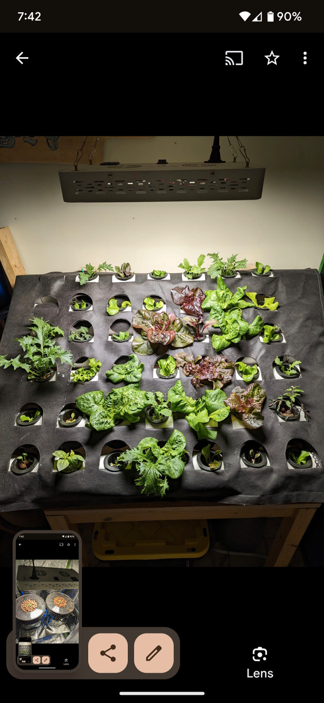 Hydroponics table, tent, DWC buckets, lights, fan, nutrients in Hobbies & Crafts in Kitchener / Waterloo - Image 4