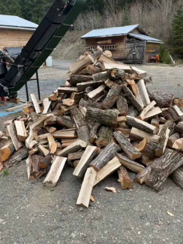 Bois de chauffage in Fireplace & Firewood in Edmundston - Image 3