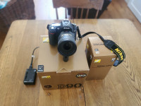 NIKON D90, NIKON Nikkor 18 200mm DX VR lens, GITZO Tripod and LO
