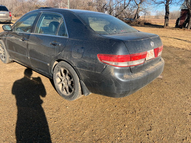 2004 Honda accord in Cars & Trucks in Edmonton - Image 3