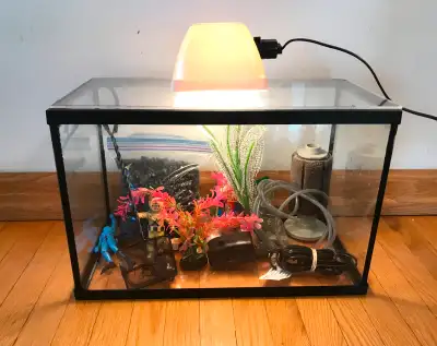 New condition tank, measures 16"L x 8" W x 10" H, comes with lid, light, air pump, sponge filter, gr...