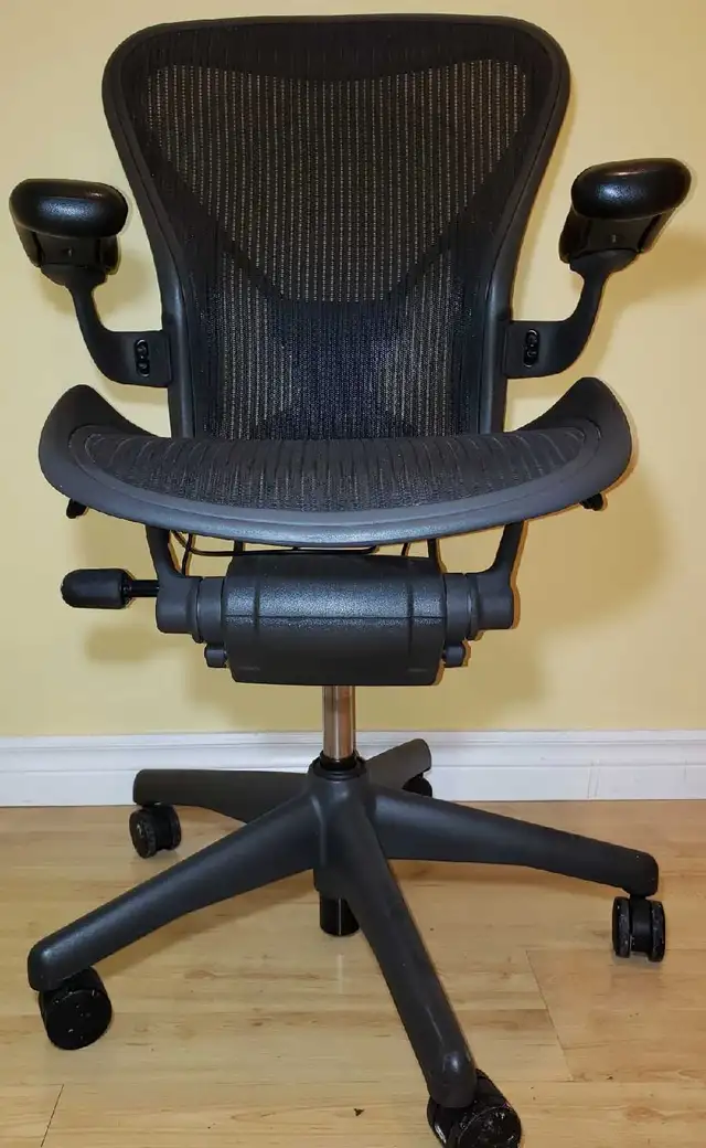 Herman Miller Aeron B | Fully Loaded | PostureFit 