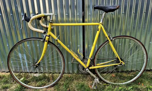 58cm Bertrand Road Bicycle project in Road in Ottawa - Image 3