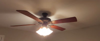 Ceiling Fan with 4 Lights