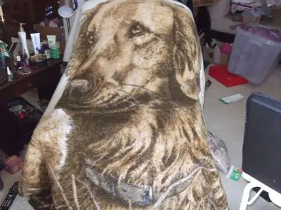 THROW AND PILLOW, View more