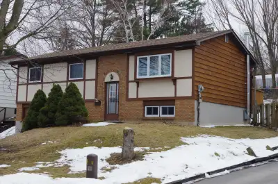 Renovated 3 bedroom, 2 full bathroom FULL house Kawartha Heights area in Peterborough - Raised Bunga...