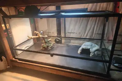 120 Gallon (4x2x2 Foot) Enclosure, View more