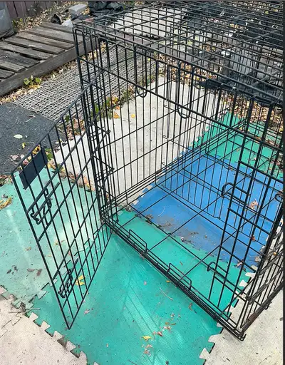 Large Folding Petmate Dog Metal Wire Kennel  42 x 31 x 28 inches, View more