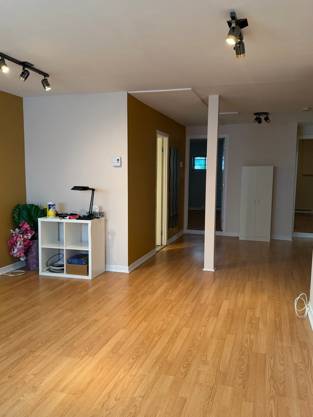Apartment 4 1/2 — photo 2